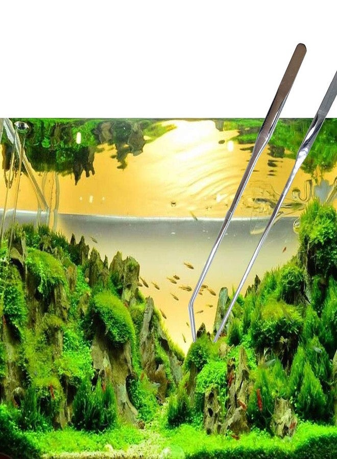 Wenplus 2PCS Aquarium Tweezers Stainless Steel Straight and Curved Tweezers Set Long Handle Reptile Feeding Tongs for Aquatic Plants Lizards Spider Snakes Garden Repairing - 10.6inch, Silver - Image 5
